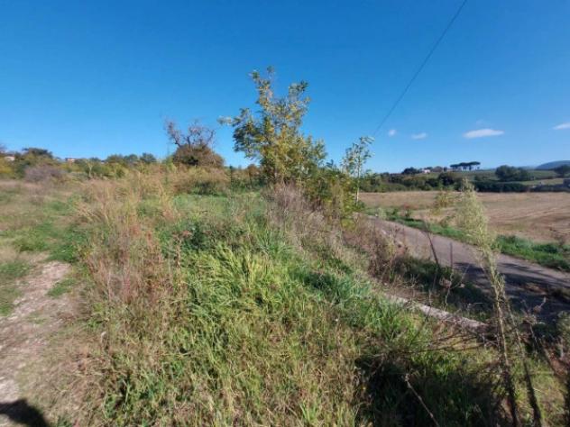 Immobile in asta di 3640 m² in vendita a Artena - Foto 3