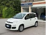 FIAT - Panda -  1.3 MJT 95 CV S&S Easy