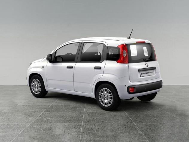 FIAT Pandina Pandina 1.0 firefly hybrid Pop s&s 65cv con CNJ-Badge (red) su montante laterale - Foto 4