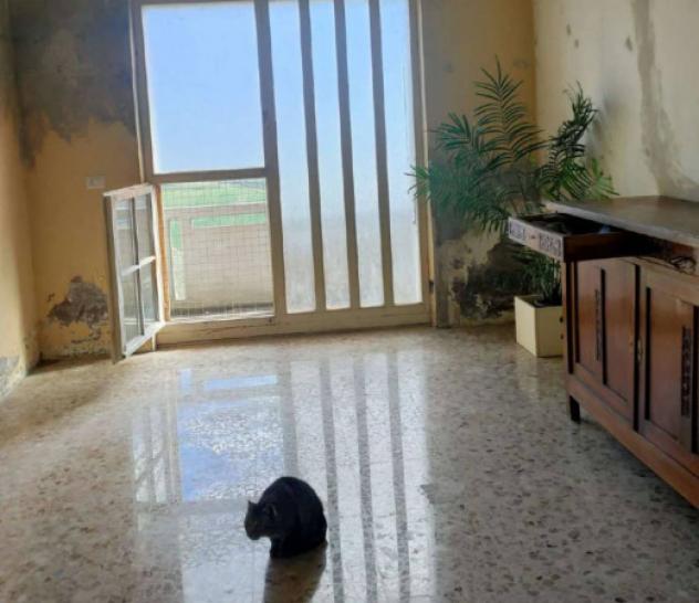 Immobile in asta di 443 m² con più di 5 locali e box auto in vendita a Tortoreto - Foto 11