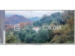 Terreno in vendita a Podenzana - Rif. 3559670