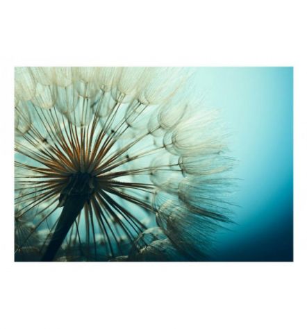 Fotomurale Adesivo Soffione Su Sfondo Verde Azzurro ARREDALACASA. - Foto 2