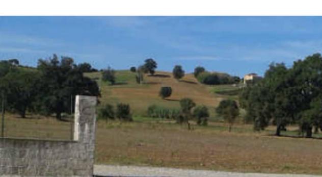 Immobile in asta di 4340 m² in vendita a San Marco Argentano - Foto 5