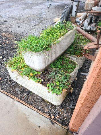 5 fioriere da esterno usate - Foto 2