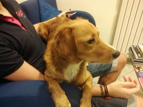 BILLY, uno splendore per strada! - Foto 3