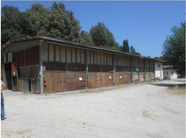 R.G.E. 175/2024 Siena - Foto 2