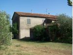 Azienda agricola in vendita a Paganico - Civitella Paganico 135000 mq  Rif: &hellip;
