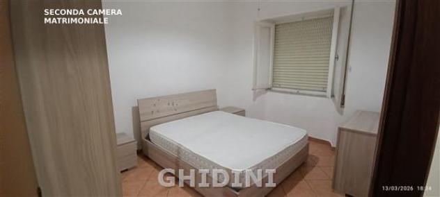 APPARTAMENTO di 5 vani e di 81 mq (GROSSETO - BARBANELLA) rif. 1440.231M - Foto 16