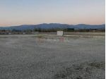 Terreno di 4850 m² in affitto a Piacenza