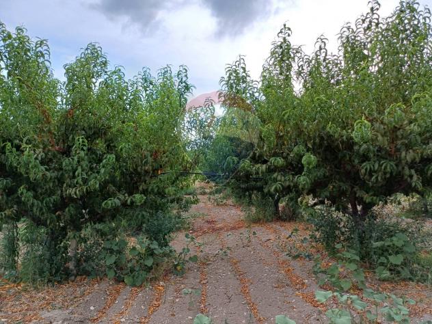 Terreno in vendita a Chiaramonte Gulfi - Foto 20