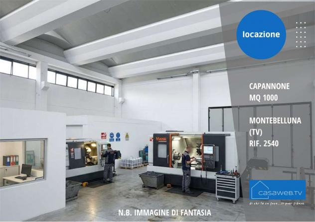 2540 - Capannone 1000 mq Montebelluna (TV) Rif. 2540 - Foto 3