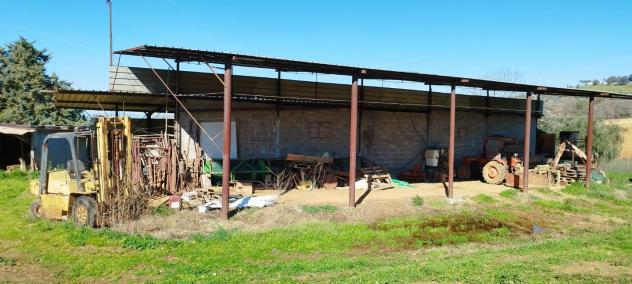 Casa singola in vendita a Cupi - Magliano in Toscana 250 mq Rif: 1245233 - Foto 7