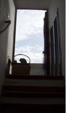 Immobile in asta di 58 m² in vendita a Santa Teresa Gallura - Foto 6