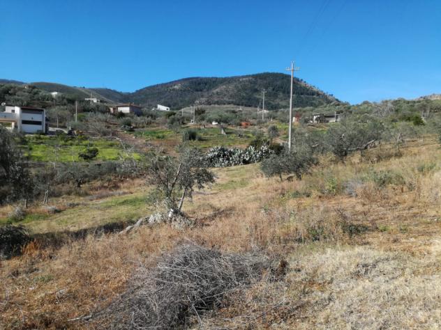 Agricolo in SP126