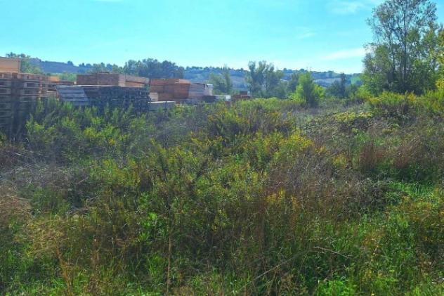Immobile in asta di 5280 m² in vendita a Recanati - Foto 6
