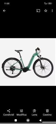Bici elettrica