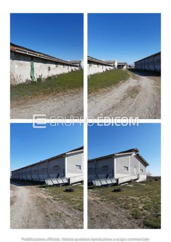 Magazzini e locali di deposito di 1312 mq in vendita a San Giorgio della Richinvelda - Rif. 4556588