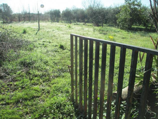 Terreno agricolo in vendita a Cascina 5000 mq Rif: 1396229 - Foto 7