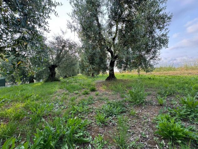 Terreno agricolo in vendita a Ripoli - Cascina 740 mq Rif: 1329214 - Foto 5