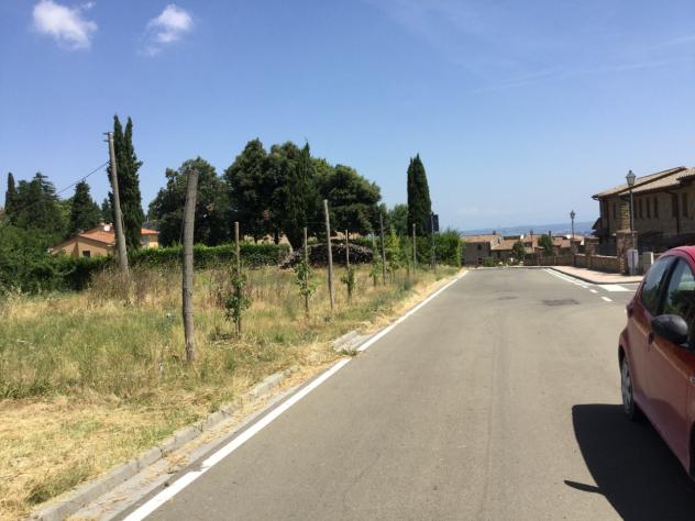 Agricolo in vendita a Chianni - Foto 8
