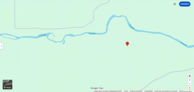 Immobile in asta di 41900 m² in vendita a Roggiano Gravina