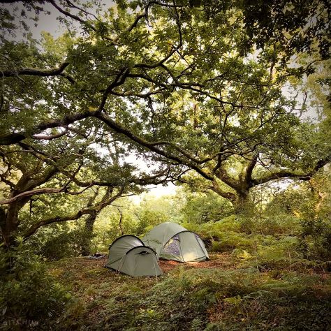 Relax sull'Appennino e tendata sotto le stelle 2 notti - Foto 4