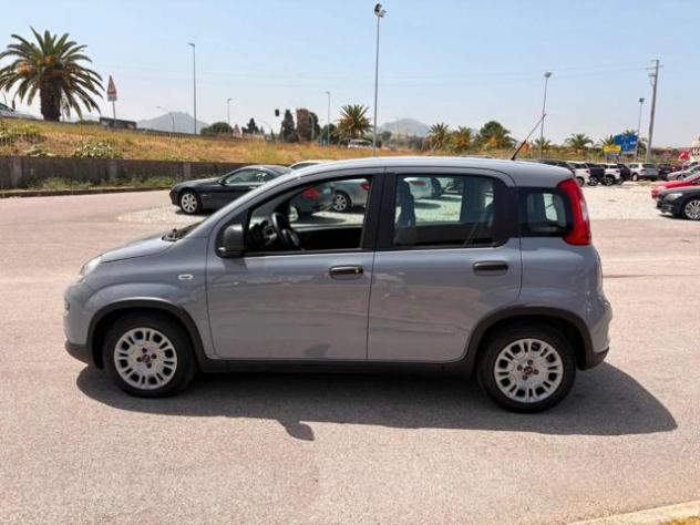 FIAT Panda 1.0 FireFly S&S Hybrid rif. 23247229 - Foto 2