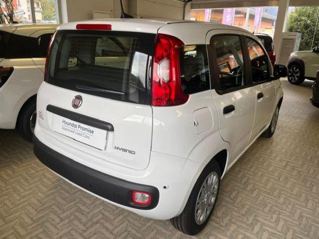 FIAT Pandina 1.0 FireFly 65 CV Hybrid Icon rif. 24205425 - Foto 5