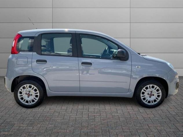 FIAT Panda 3ª serie 1.2 Easy - Foto 5