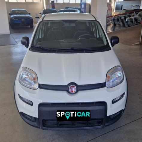 FIAT Panda Panda 1.0 hybrid s&s 70cv 5p.ti - Foto 2