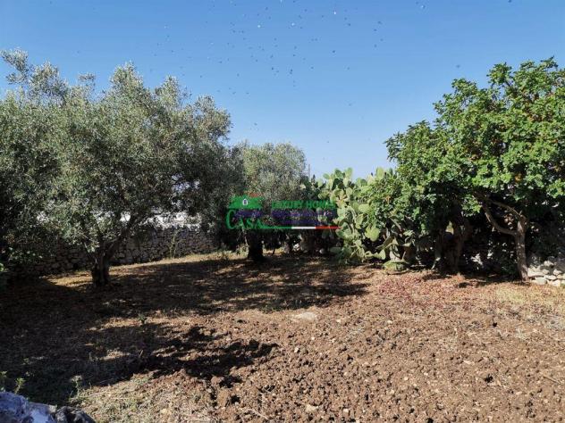 Rif.2575 - Immobile indipendente + terreno agricolo a Monte Margi - Modica con vista mozzafiato su Ibla - Foto 13