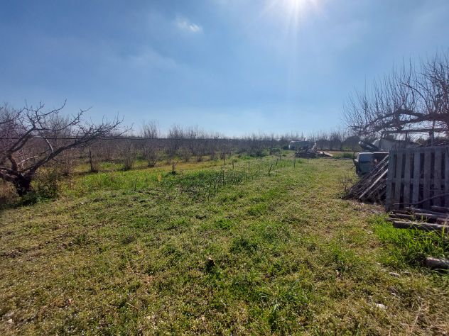 Vendesi - Appezzamento agricolo con abitazione, autorimessa e deposito a soli 5 - Foto 6