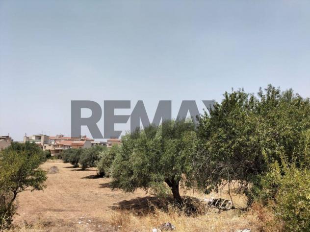 Terreno in vendita a Comiso, Centro