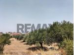 Terreno in vendita a Comiso, Centro