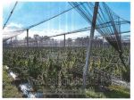 IMMOBILI-ALTRA CATEGORIA-Strada Bardelletta, 103, 46044 Goito MN, Italia