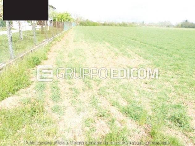 Terreno di 23912 mq in vendita a Paese - Rif. 4549347 - Foto 3