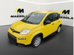 FIAT Panda 3ª serie Panda 1.0 FireFly S&S Hybrid Pandina