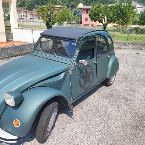 Vendo 2 Cavalli Citroen anno 1978