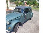 Vendo 2 Cavalli Citroen anno 1978