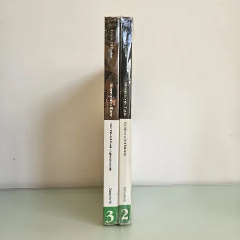Itinerario nell’Arte 2-3 - Cricco, Di Teodoro - Zanichelli - 2009 - Foto 8