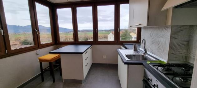 Appartamento in affitto a Pontedera 55 mq Rif: 1452176 - Foto 2