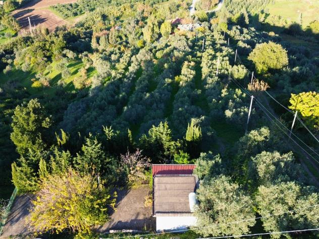 Agricolo in Via Vetosa - Foto 6