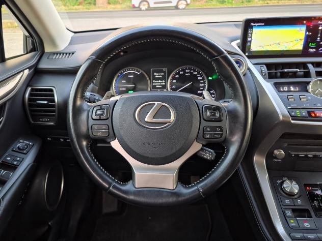 Lexus NX 300h Hybrid 4WD F-Sport E6 Automatico 2020 - Foto 8