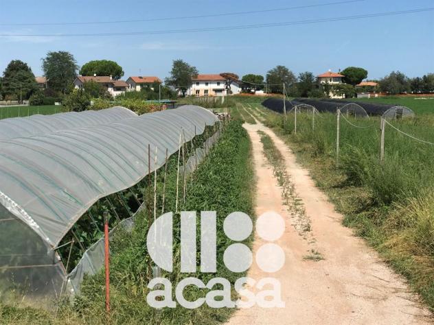 TERRENO AGRICOLO CON POZZO ARTESIANO - Foto 2