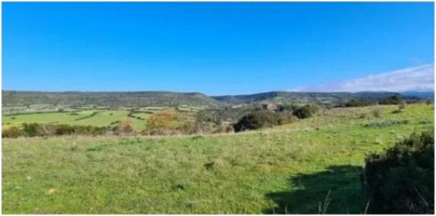 Immobile in asta di 22900 m² in vendita a Fordongianus - Foto 2