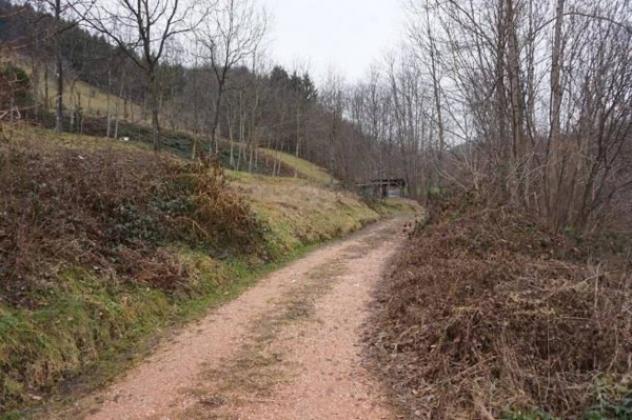 Immobile in asta di 6196 m² in vendita a Valli del Pasubio - Foto 2