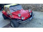dune buggy puma