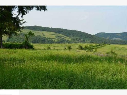 Azienda Agricola Collinare - Foto 4