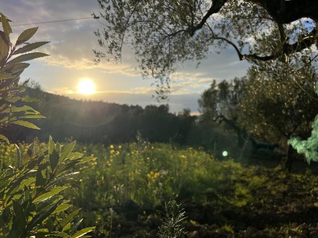 Agricolo in Via Molino Vecchio - Foto 3