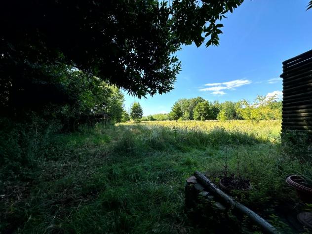 Terreno agricolo in vendita a Capannori 20000 mq Rif: 1421642 - Foto 8